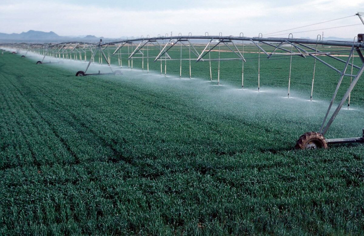UNDP timbuktoo AgriTech Pan-African Incubation Programme: Applications Open on a Rolling Basis